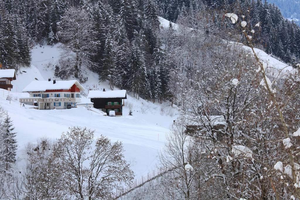 Ferienwohnung Erhard Silbertal Buitenkant foto